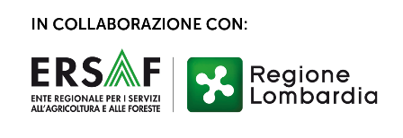 ersaf regione lombardia logo