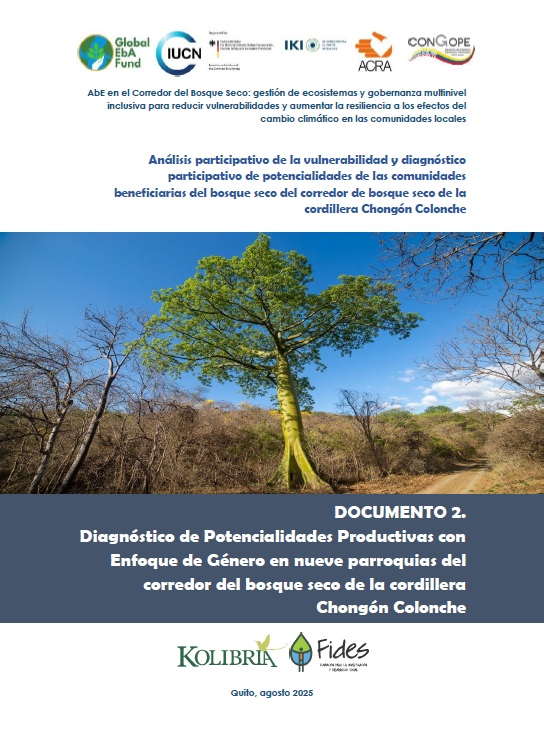 ECUEBA Diagnostico productividad