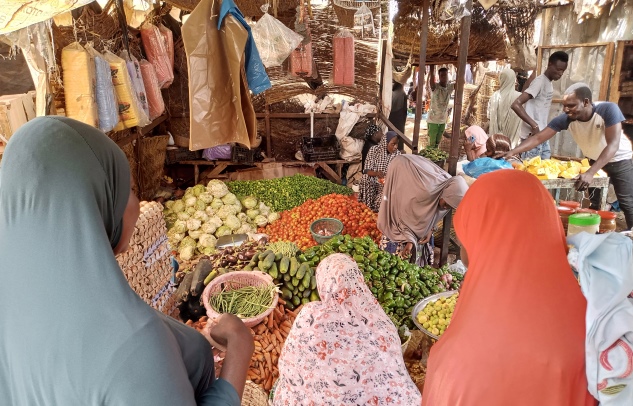 donne in azione per la sicurezza alimentare in niger